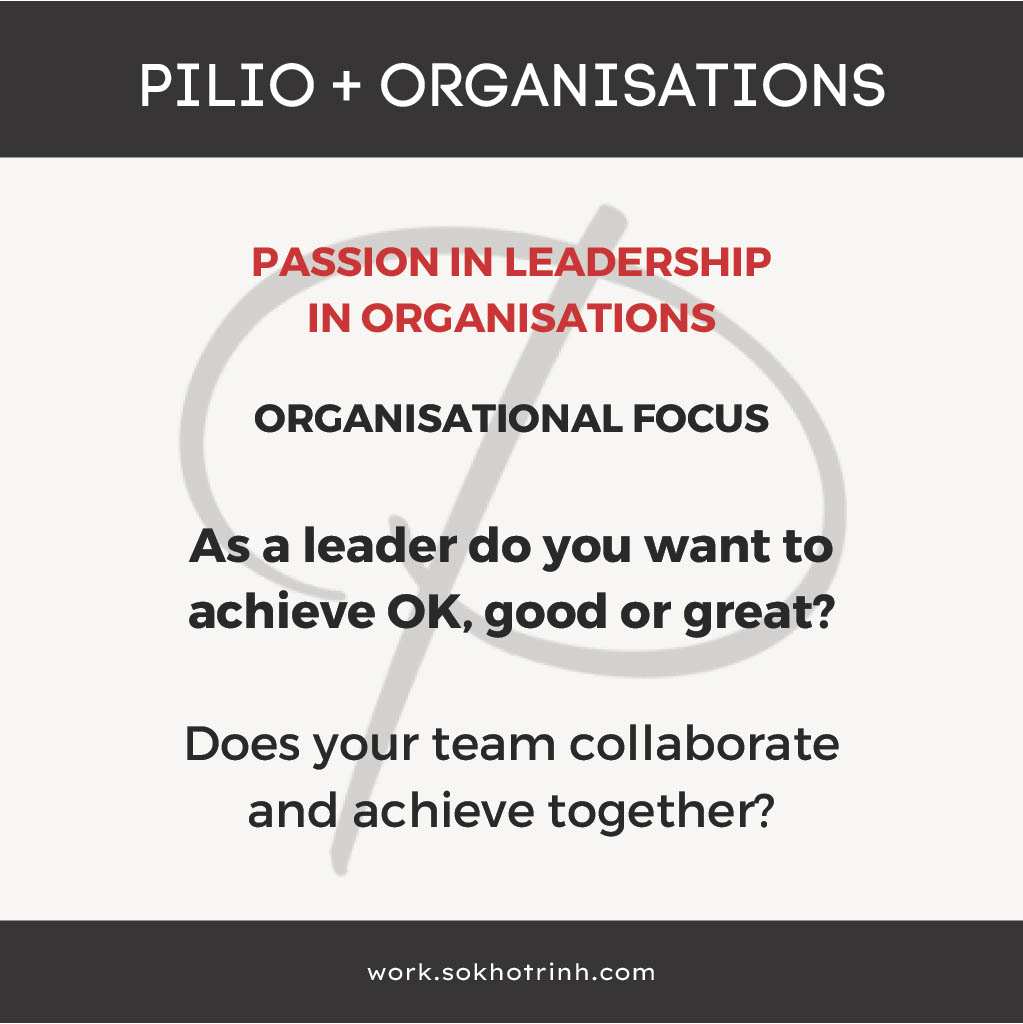 Passionate Leadership in organisations